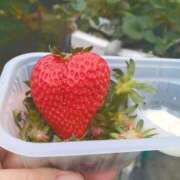 ヒメ日記 2026/04/21 14:23 投稿 りお 丸妻 厚木店