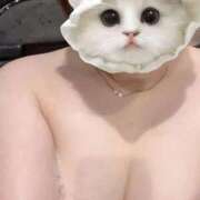 ヒメ日記 2025/11/18 10:02 投稿 ゆみ ちょいぽちゃMAX 鯖江店