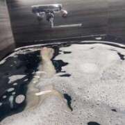 ヒメ日記 2026/02/23 15:32 投稿 ゆみ ちょいぽちゃMAX 鯖江店