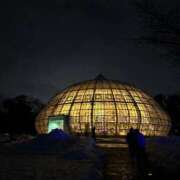 ヒメ日記 2026/04/15 23:32 投稿 ゆみ ちょいぽちゃMAX 鯖江店