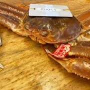 ヒメ日記 2025/11/14 17:50 投稿 雪平　なぎさ 大奥 難波店