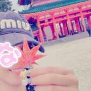 ヒメ日記 2025/11/29 12:35 投稿 雪平　なぎさ 大奥 難波店