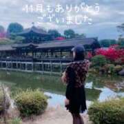 ヒメ日記 2025/12/01 06:30 投稿 雪平　なぎさ 大奥 難波店