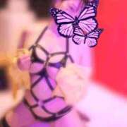 ヒメ日記 2025/10/28 11:48 投稿 ゆり Salon du M-えっちなお姉さんのM性感デリバリー-五反田店