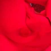 ヒメ日記 2026/02/04 21:10 投稿 もも★潮吹き確定!妖艶美女★ Bell~S級美女お姉様・人妻デリヘル~