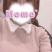 ヒメ日記 2026/02/19 07:34 投稿 もも★潮吹き確定！妖艶美女★ Bell～S級美女お姉様・人妻デリヘル～