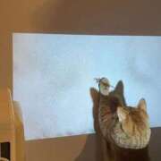 ヒメ日記 2025/12/01 18:25 投稿 わか 池袋夢幻