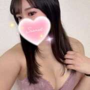 ヒメ日記 2025/10/25 02:13 投稿 りこ DOLCE