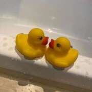 ヒメ日記 2025/11/08 13:07 投稿 えみか 横浜関内人妻城