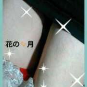 ヒメ日記 2025/10/21 13:35 投稿 花の月 しゅうかつ倶楽部