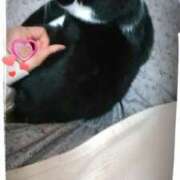 ヒメ日記 2025/10/25 10:47 投稿 花の月 しゅうかつ倶楽部