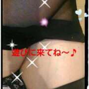 ヒメ日記 2025/11/08 21:21 投稿 花の月 しゅうかつ倶楽部