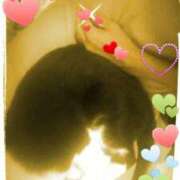 ヒメ日記 2025/11/11 10:25 投稿 花の月 しゅうかつ倶楽部