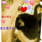 ヒメ日記 2025/11/26 12:05 投稿 花の月 しゅうかつ倶楽部