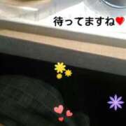 ヒメ日記 2025/12/20 12:36 投稿 花の月 しゅうかつ倶楽部