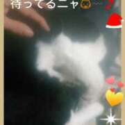 ヒメ日記 2025/12/25 18:27 投稿 花の月 しゅうかつ倶楽部