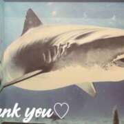 ヒメ日記 2025/11/10 22:41 投稿 絆愛（はんな） 女々艶 厚木店