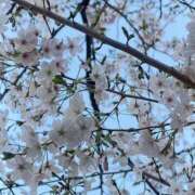 かい 出勤について😭😭😭 バイオレンス