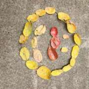 ヒメ日記 2025/11/25 10:34 投稿 まとい 熟女の風俗最終章 池袋店