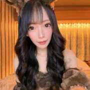 ヒメ日記 2025/11/20 21:24 投稿 まほ チューリップ福井本館