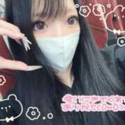 ヒメ日記 2025/11/10 07:34 投稿 まほ チューリップ福井別館