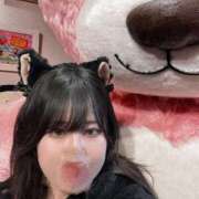 ヒメ日記 2025/10/26 08:01 投稿 せな シルクハット