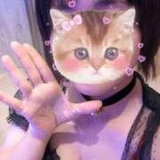 ヒメ日記 2025/10/22 09:01 投稿 藤本みゆ ミセスレディ