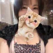 ヒメ日記 2025/11/02 06:31 投稿 藤本みゆ ミセスレディ