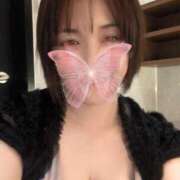 ヒメ日記 2025/11/02 13:16 投稿 藤本みゆ ミセスレディ