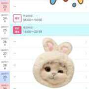 ヒメ日記 2025/11/20 10:31 投稿 藤本みゆ ミセスレディ