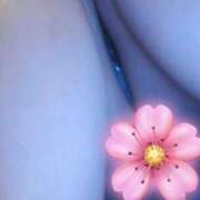 ヒメ日記 2025/11/21 10:16 投稿 藤本みゆ ミセスレディ