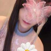 ヒメ日記 2025/11/25 15:46 投稿 藤本みゆ ミセスレディ