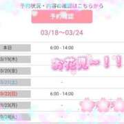 ヒメ日記 2026/03/18 19:01 投稿 藤本みゆ ミセスレディ