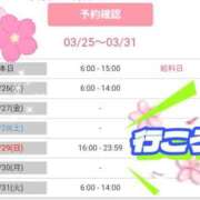 ヒメ日記 2026/03/25 17:31 投稿 藤本みゆ ミセスレディ