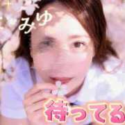 ヒメ日記 2026/06/24 10:01 投稿 藤本みゆ ミセスレディ