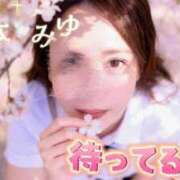 ヒメ日記 2026/07/13 07:46 投稿 藤本みゆ ミセスレディ