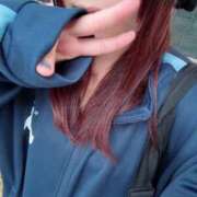 ヒメ日記 2025/11/09 08:40 投稿 そら 石庭