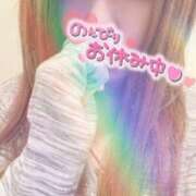 ヒメ日記 2025/11/09 12:50 投稿 そら 石庭