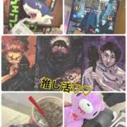 ヒメ日記 2025/11/09 18:00 投稿 そら 石庭