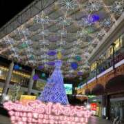 ヒメ日記 2025/11/09 22:50 投稿 そら 石庭