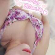 ヒメ日記 2025/11/10 12:20 投稿 そら 石庭