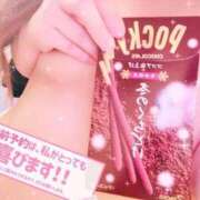 ヒメ日記 2025/11/11 10:20 投稿 そら 石庭