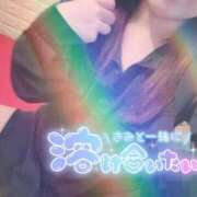 ヒメ日記 2025/11/11 22:01 投稿 そら 石庭