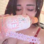 ヒメ日記 2025/11/12 06:50 投稿 そら 石庭