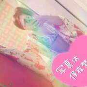 ヒメ日記 2025/11/12 21:34 投稿 そら 石庭