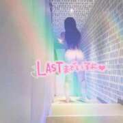 ヒメ日記 2025/11/14 10:20 投稿 そら 石庭