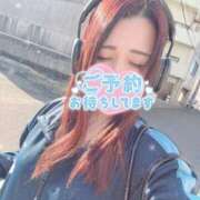 ヒメ日記 2025/11/16 06:20 投稿 そら 石庭