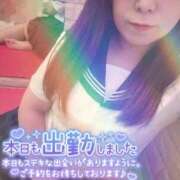 ヒメ日記 2025/11/16 10:20 投稿 そら 石庭