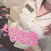 ヒメ日記 2025/11/16 21:34 投稿 そら 石庭