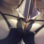 ヒメ日記 2025/11/17 08:50 投稿 そら 石庭